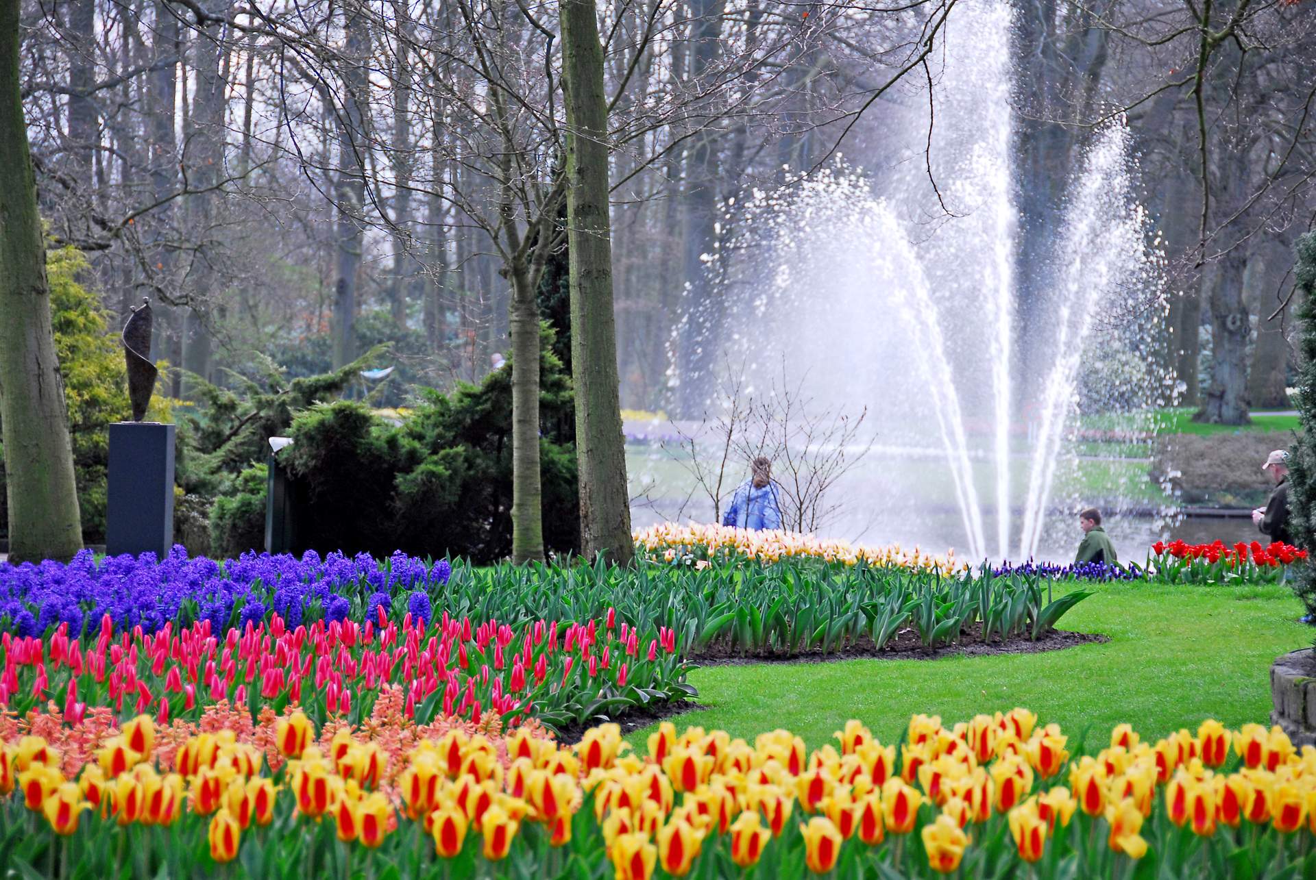 Holland: Tulpenblüte