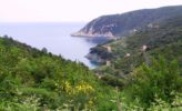 Wandern auf Elba