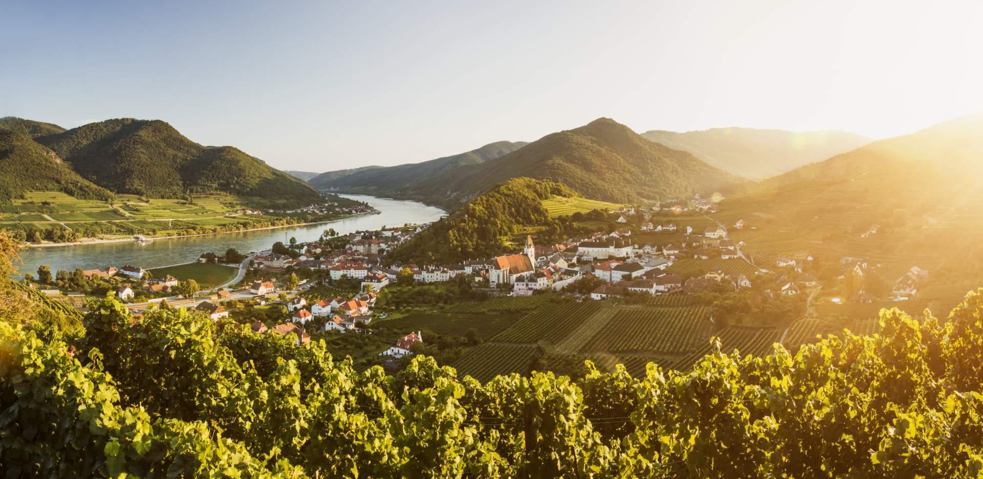 Wachau: Weinreise