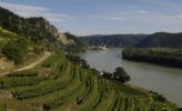 Wachau: Weinreise