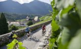 Südtirol: Radfahren